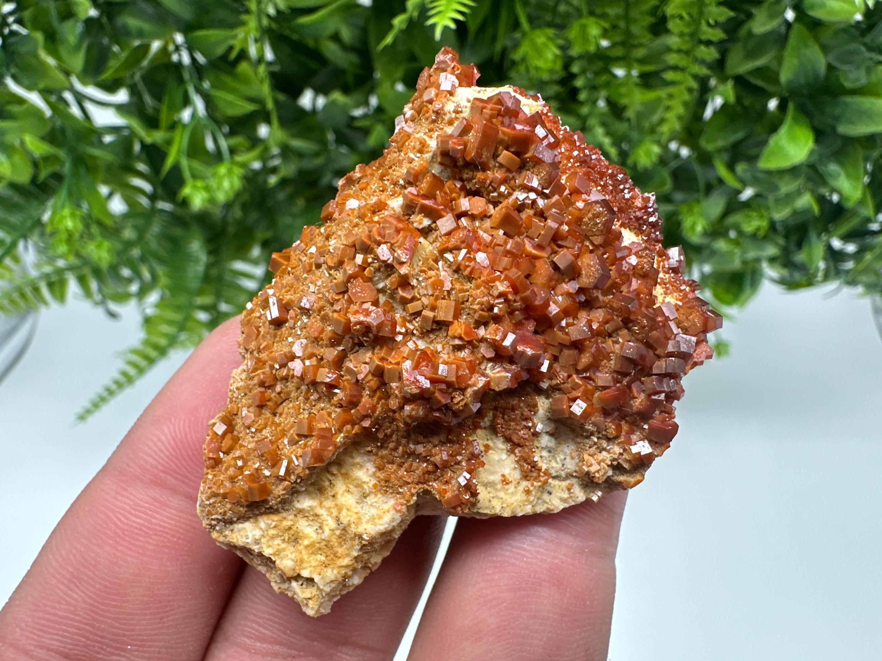 Red Vanadinite on Barite, Moroccan Crystal Mineral Specimen