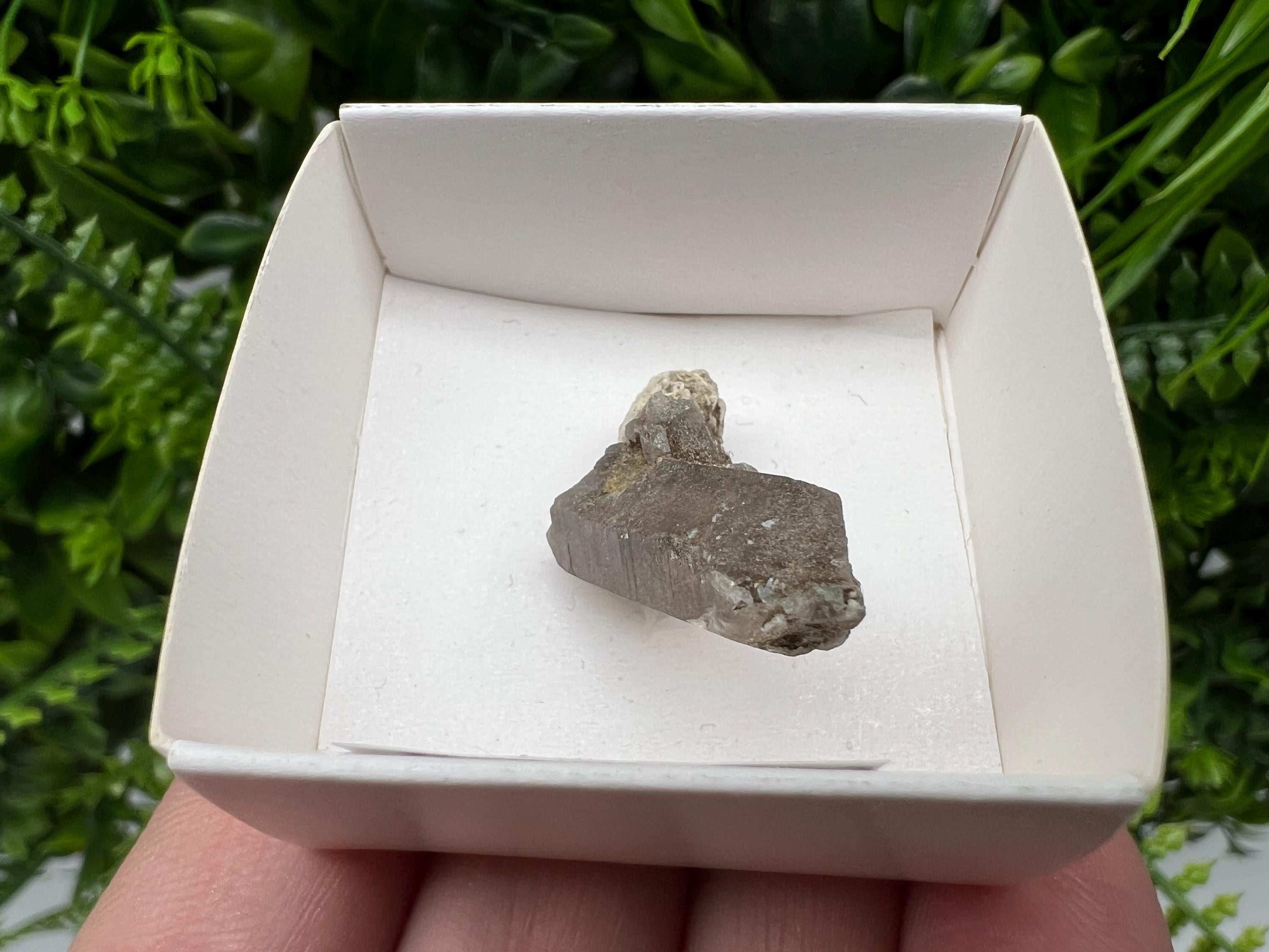 Rare Fedenstock Smoky Quartz, Swiss Mineral Specimen