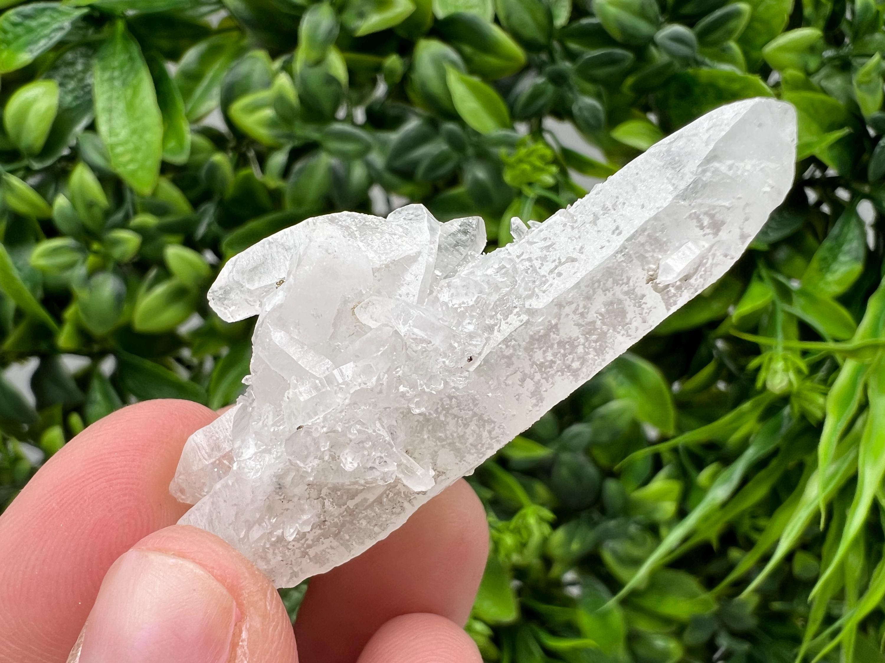 Transparent Quartz on Chlorite Matrix, Borieva Mine, Bulgaria