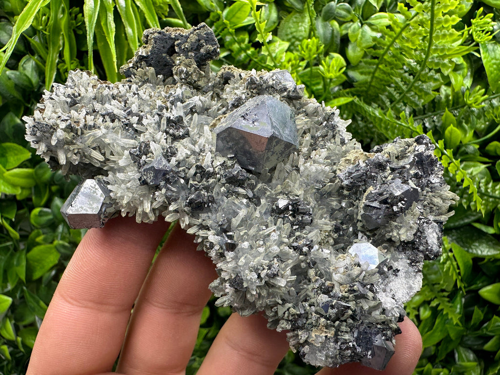 Galena Pyrite Sphalerite on Quartz, Madan Bulgaria Mineral Specimen