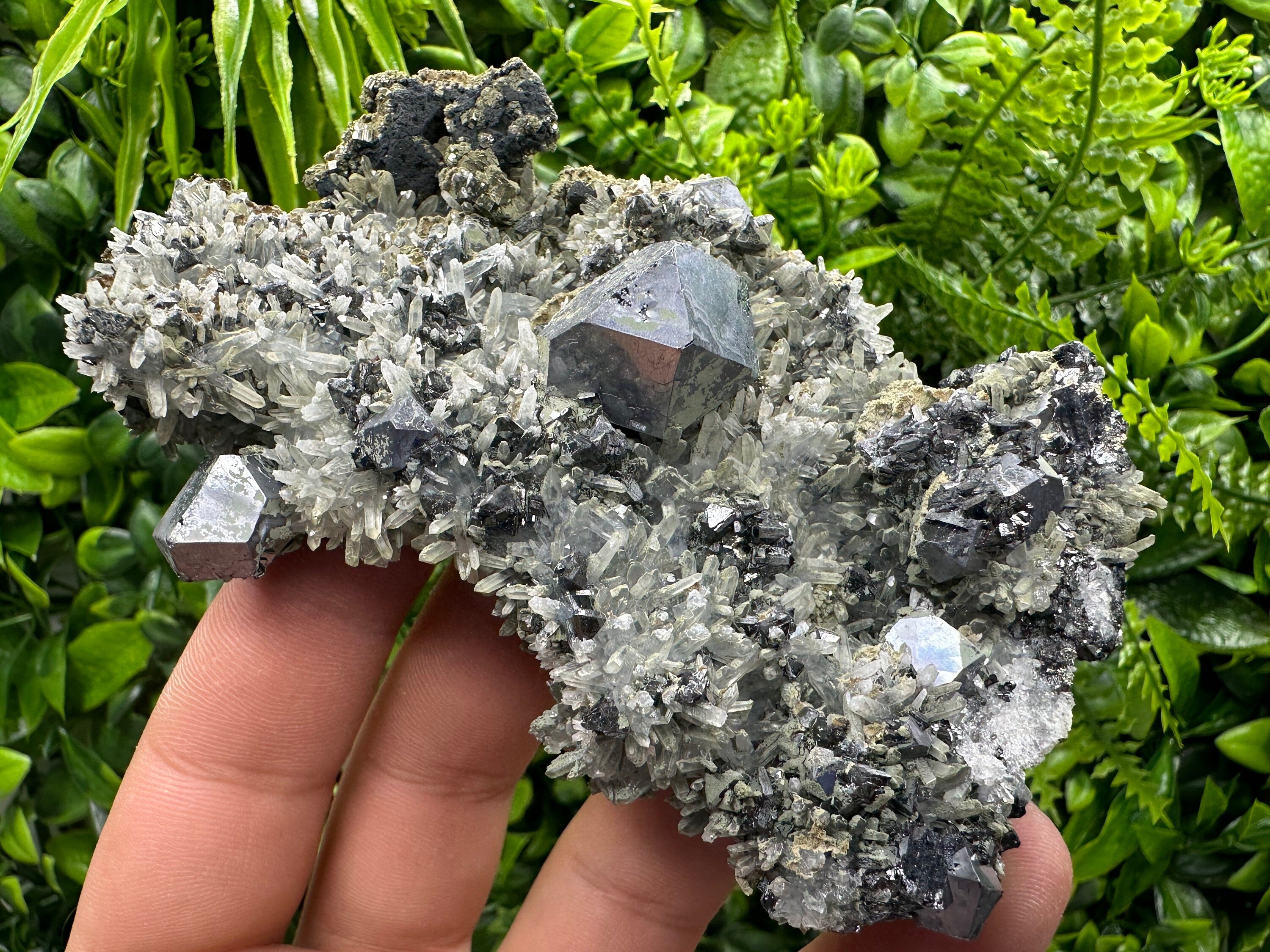 Galena Pyrite Sphalerite on Quartz, Madan Bulgaria Mineral Specimen