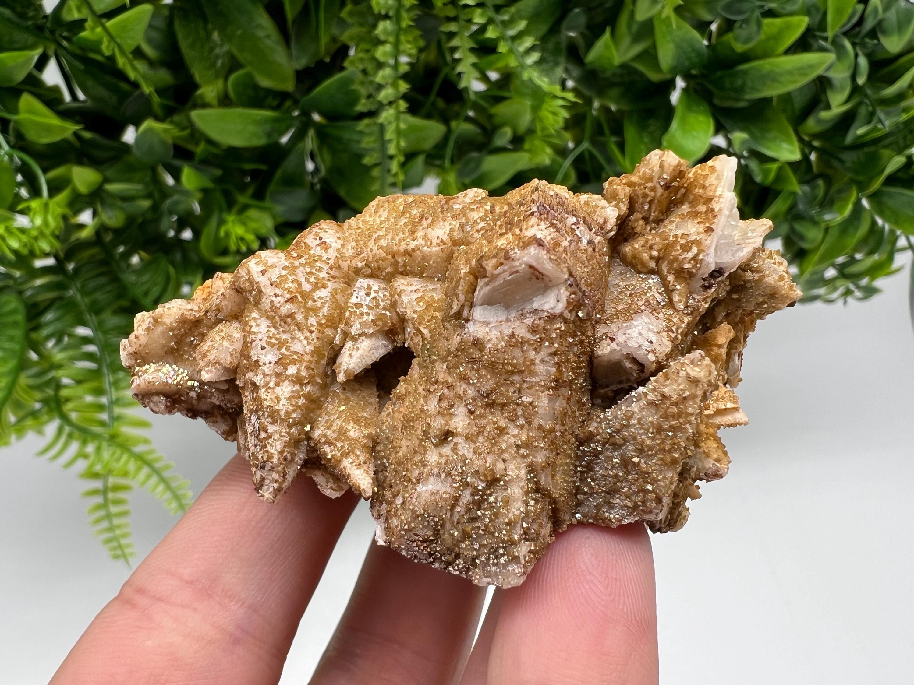 Stunning Brown Rhodochrosite on Calcite,Chalcedony,from Djurcovo mine,Bulgaria,natural collection mineral specimen,home decor crystal,gift