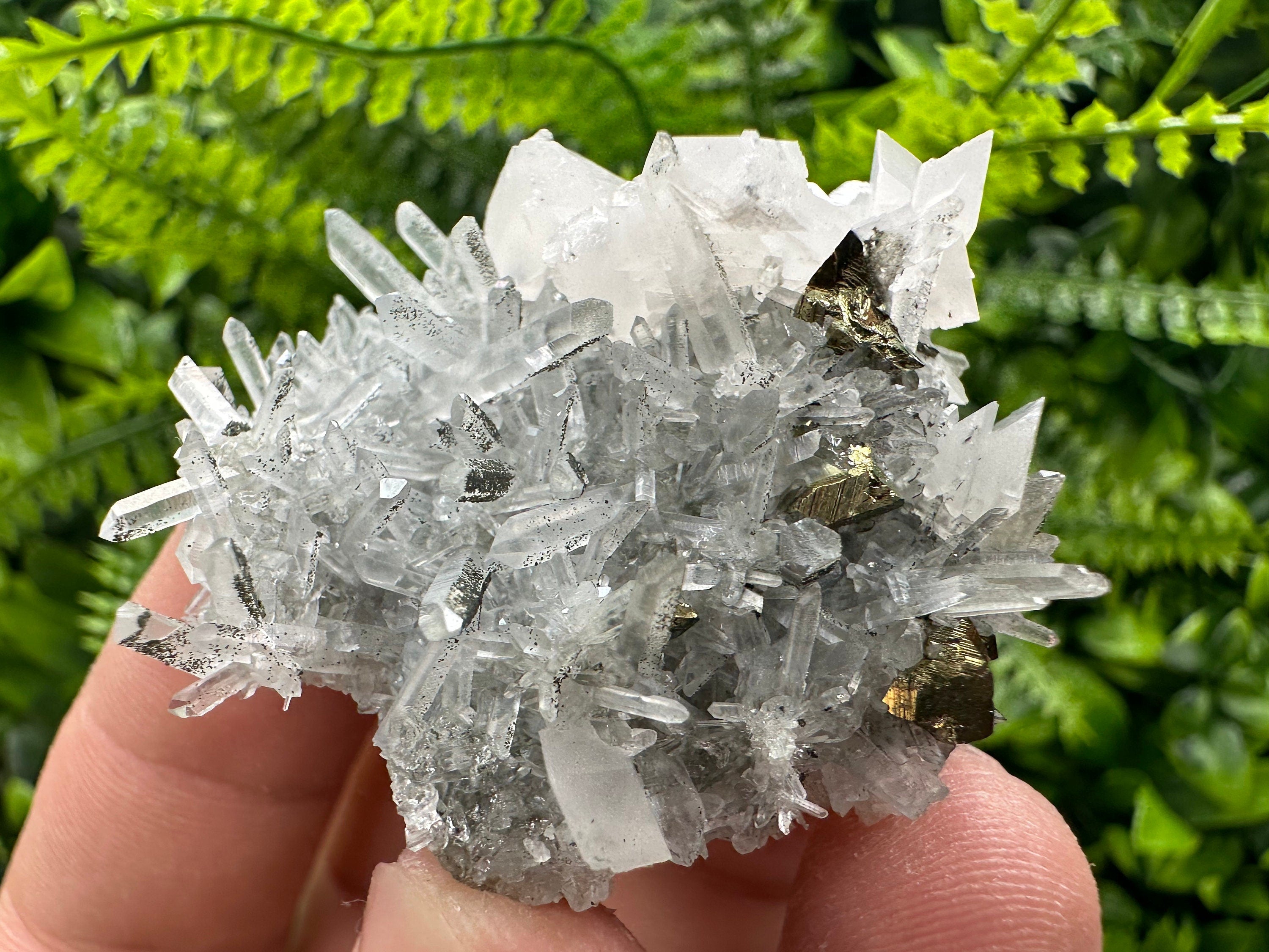 Chalcopyrite & Calcite on Quartz: Borieva Mine, Bulgaria