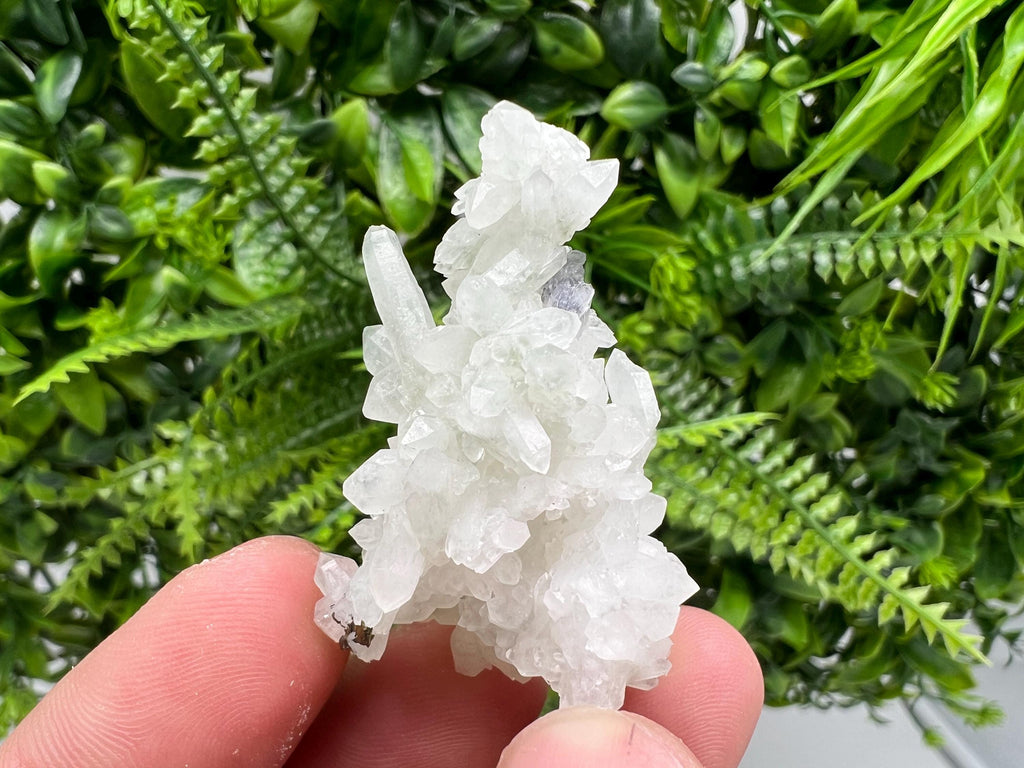 Wonderful Transparent Quartz on Chlorite Matrix,From Borieva mine,Madan,Bulgaria,Quartz,Quartz crystal,mineral specimen,collection quartz