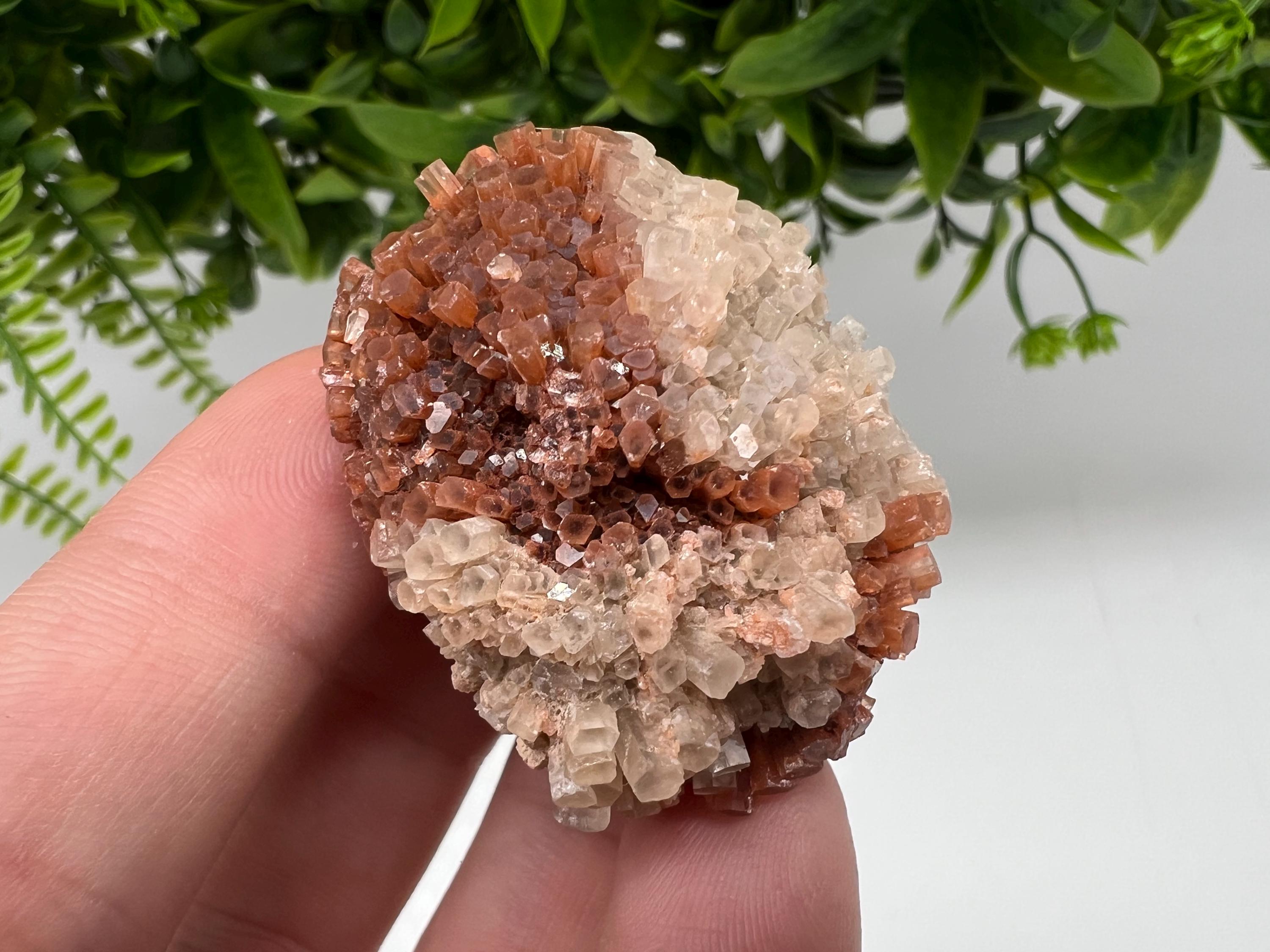 Extra Large Aragonite Sputnik Cluster: Moroccan Raw Crystal Stone