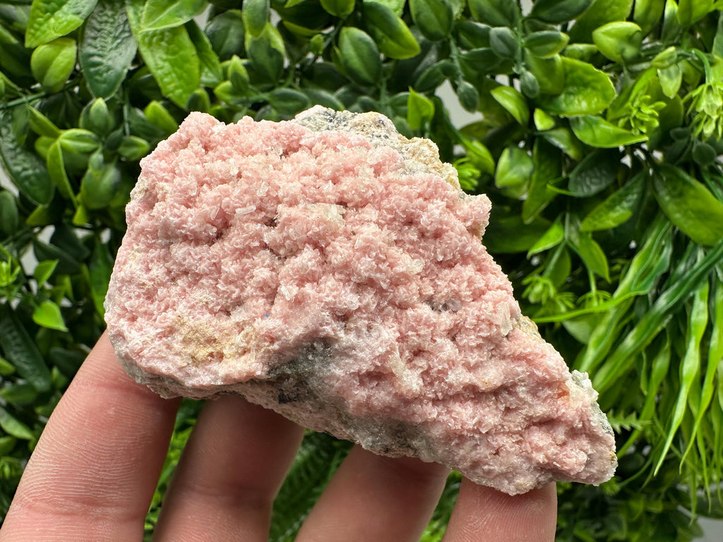Rhodochrosite on Quartz, Starnica Mine, Bulgaria