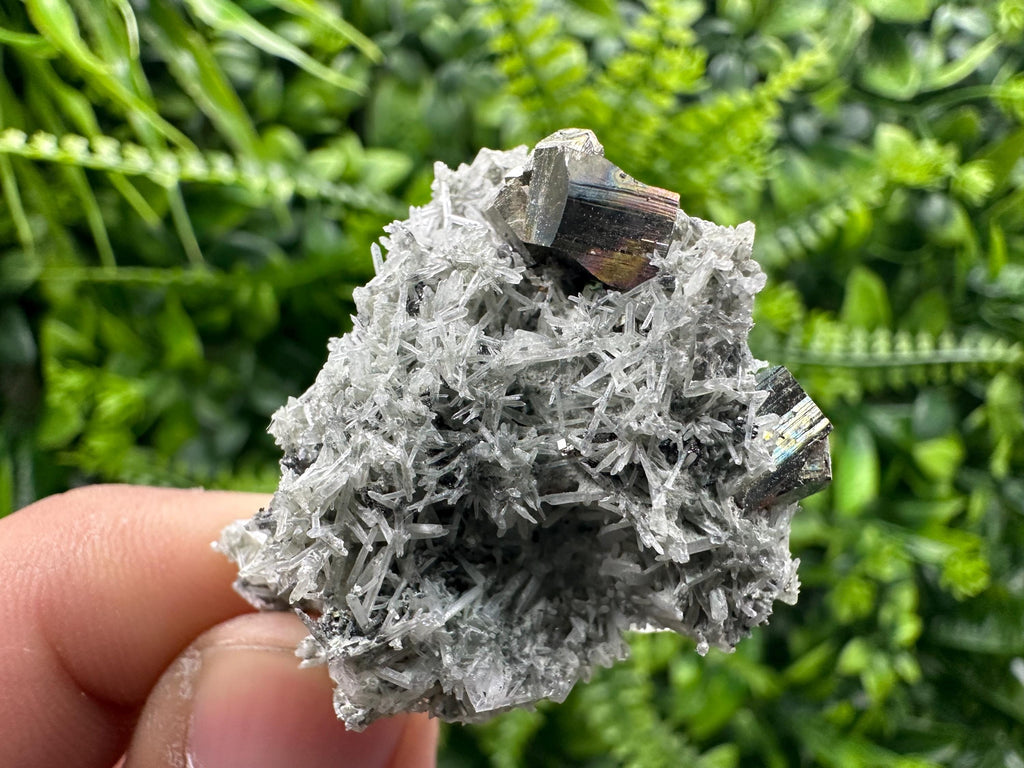 Pyrite on Green Quartz Mineral Specimen, Borieva Mine Crystal