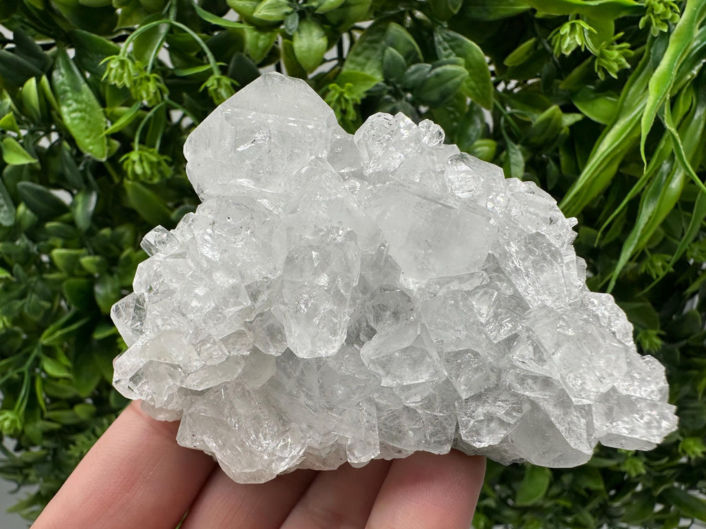 Apophyllite on Chalcedony Specimen: India Minerals Collection