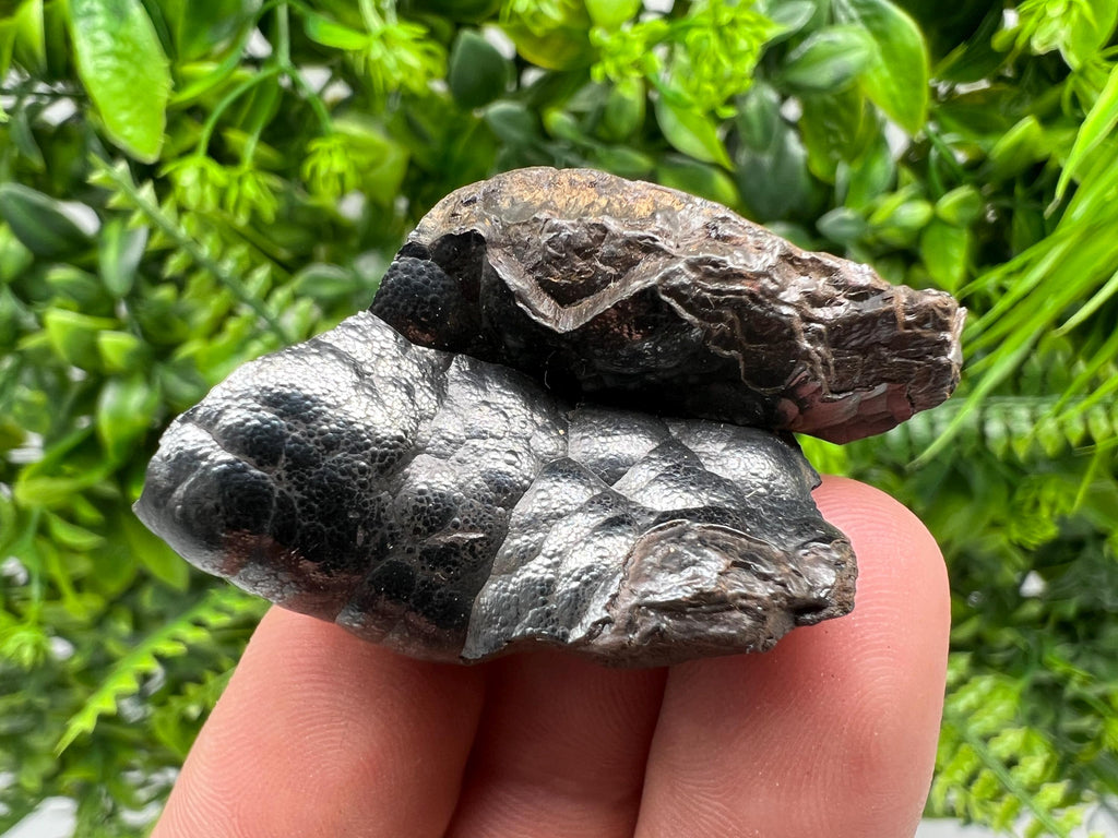 Moroccan Botryoidal Black Hematite Specimen: Chakra Reiki Crystal