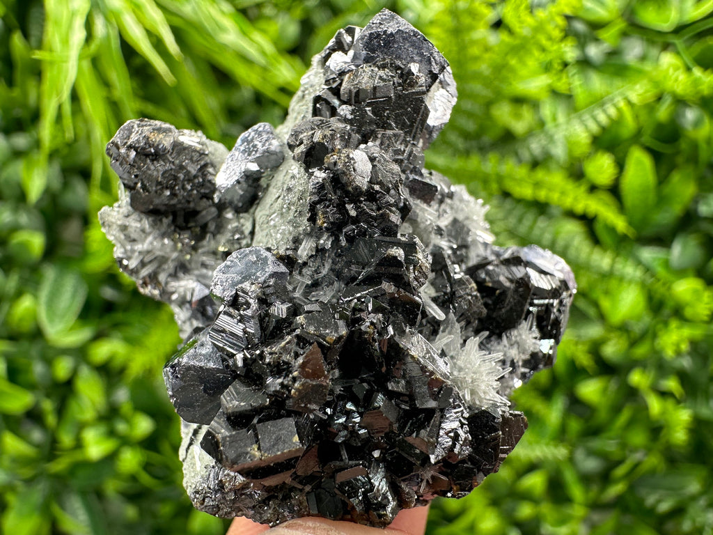 Galena Sphalerite on Needle Quartz: Borieva Mine Crystal, Bulgaria
