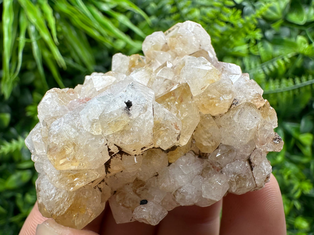 Citrine Crystal Cluster with Hematite Inclusions - Brazil