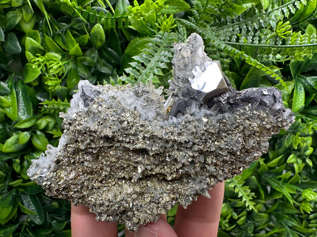 Galena with Quartz on Pyrite, Borieva Mine Mineral Specimen