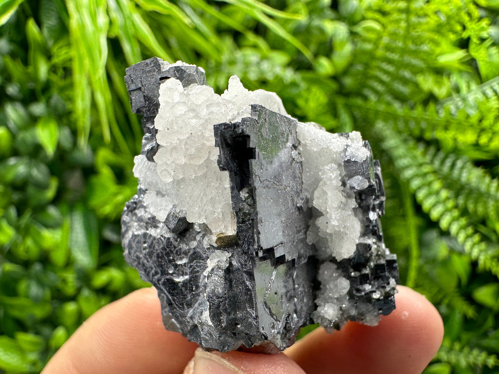 Galena with Calcite: Natural Mineral Specimen, Borieva Mine, Bulgaria