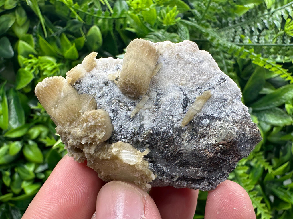 Rare Calcite Cluster on Matrix, Bulgarian Mineral Specimen