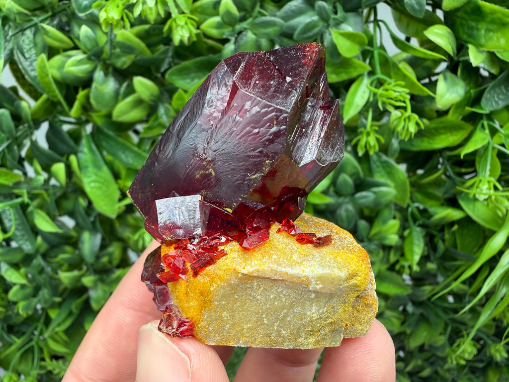 XXL Laboratory Pruskite Ruby Crystal on Matrix