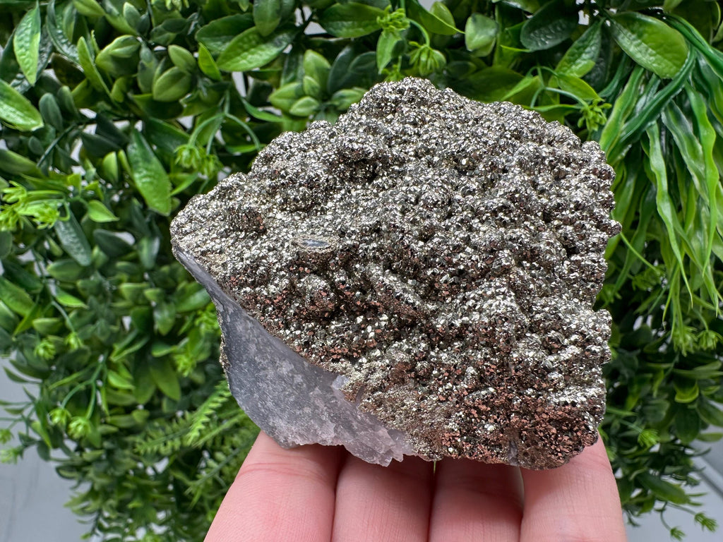 Marcasite Cluster on Chalcedony, Bulgaria Mineral Specimen