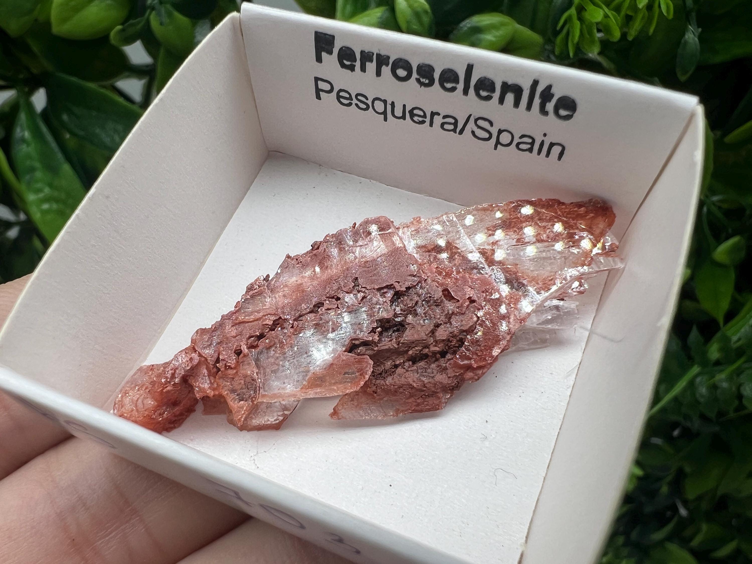 Rare Ferroselenite Specimen: La Pesquera, Spain Mineral (5/2 cm)