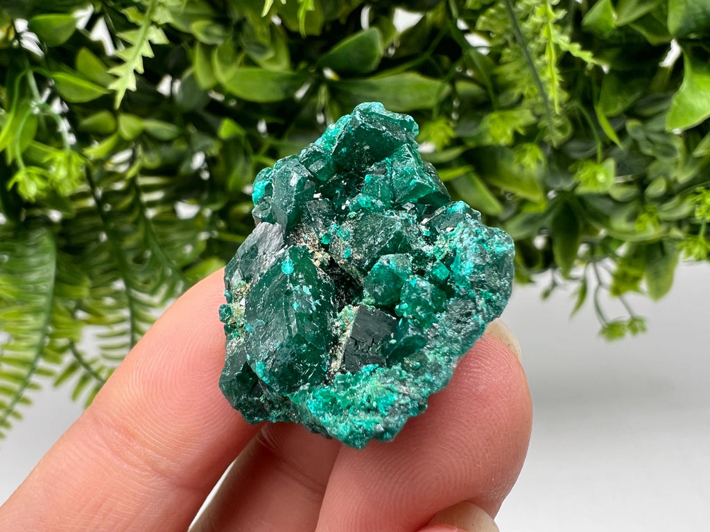 Stunning Green Dioptase from Sanda Hills,Mindouli,Pool Department,Mindouli District,Congo,green Dioptase,Dioptas Crystal,Dioptase collecting