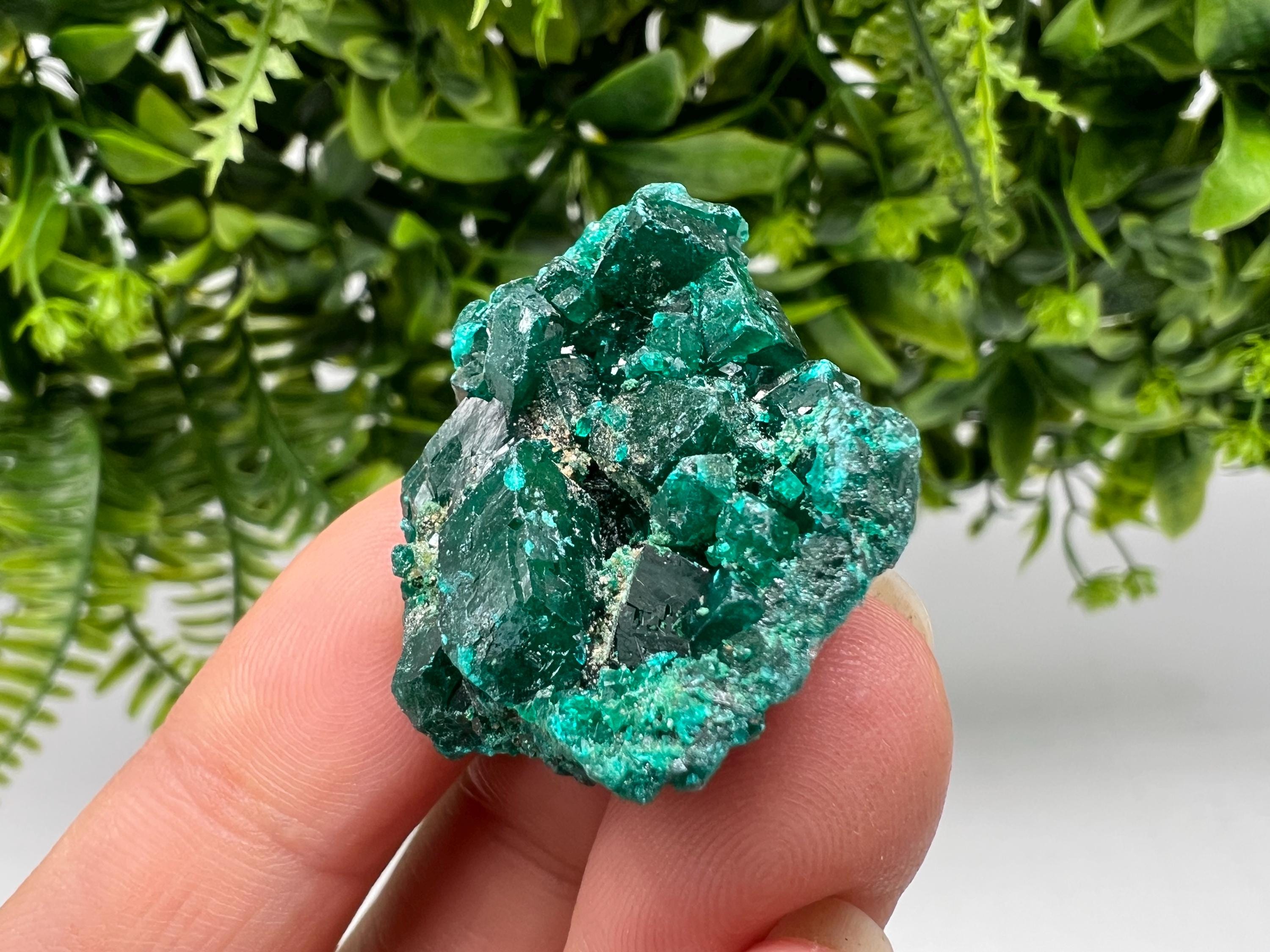Stunning Green Dioptase from Sanda Hills,Mindouli,Pool Department,Mindouli District,Congo,green Dioptase,Dioptas Crystal,Dioptase collecting