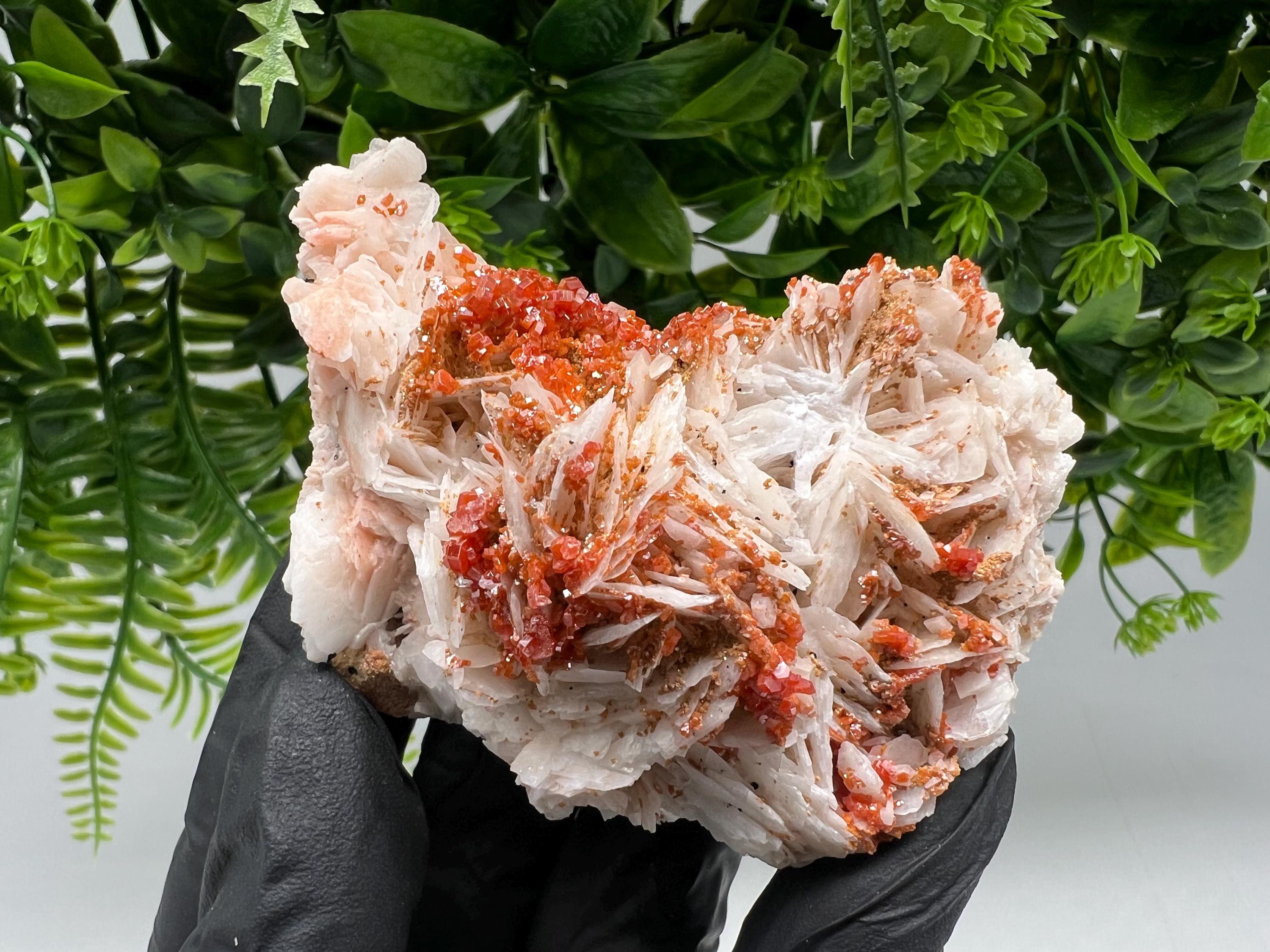 Red Vanadinite on Barite from Marocco,crystal minerals Speciment cluster Vanadinite crystal Vanadinite Geology Vanadinite cluster minerals