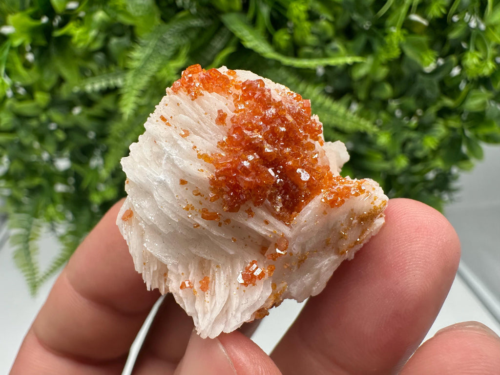 Red Vanadinite on Barite from Marocco,crystal minerals Speciment cluster Vanadinite crystal Vanadinite Geology Vanadinite cluster minerals
