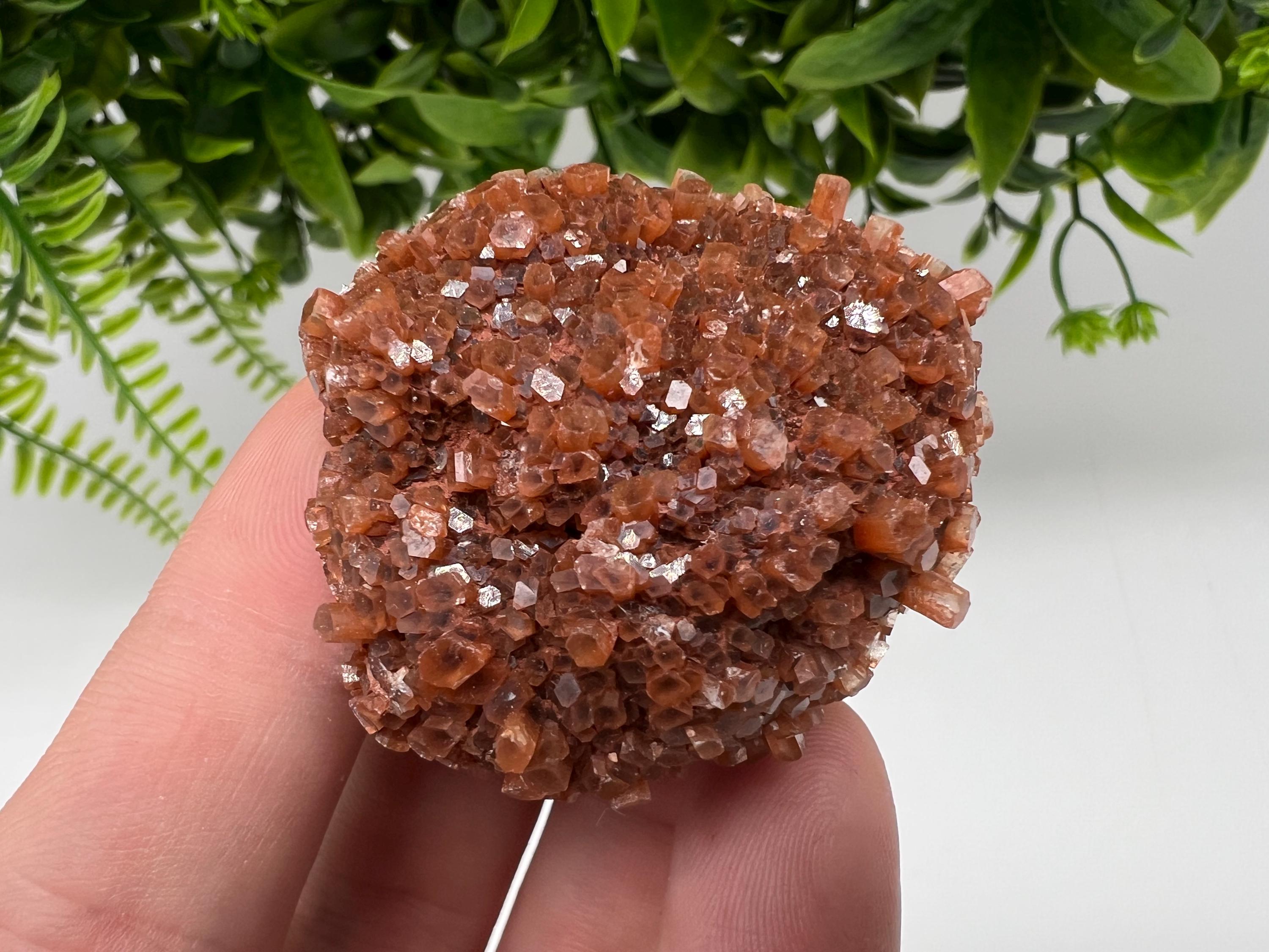 Extra Large Aragonite Sputnik Cluster: Raw Moroccan Crystal Stone
