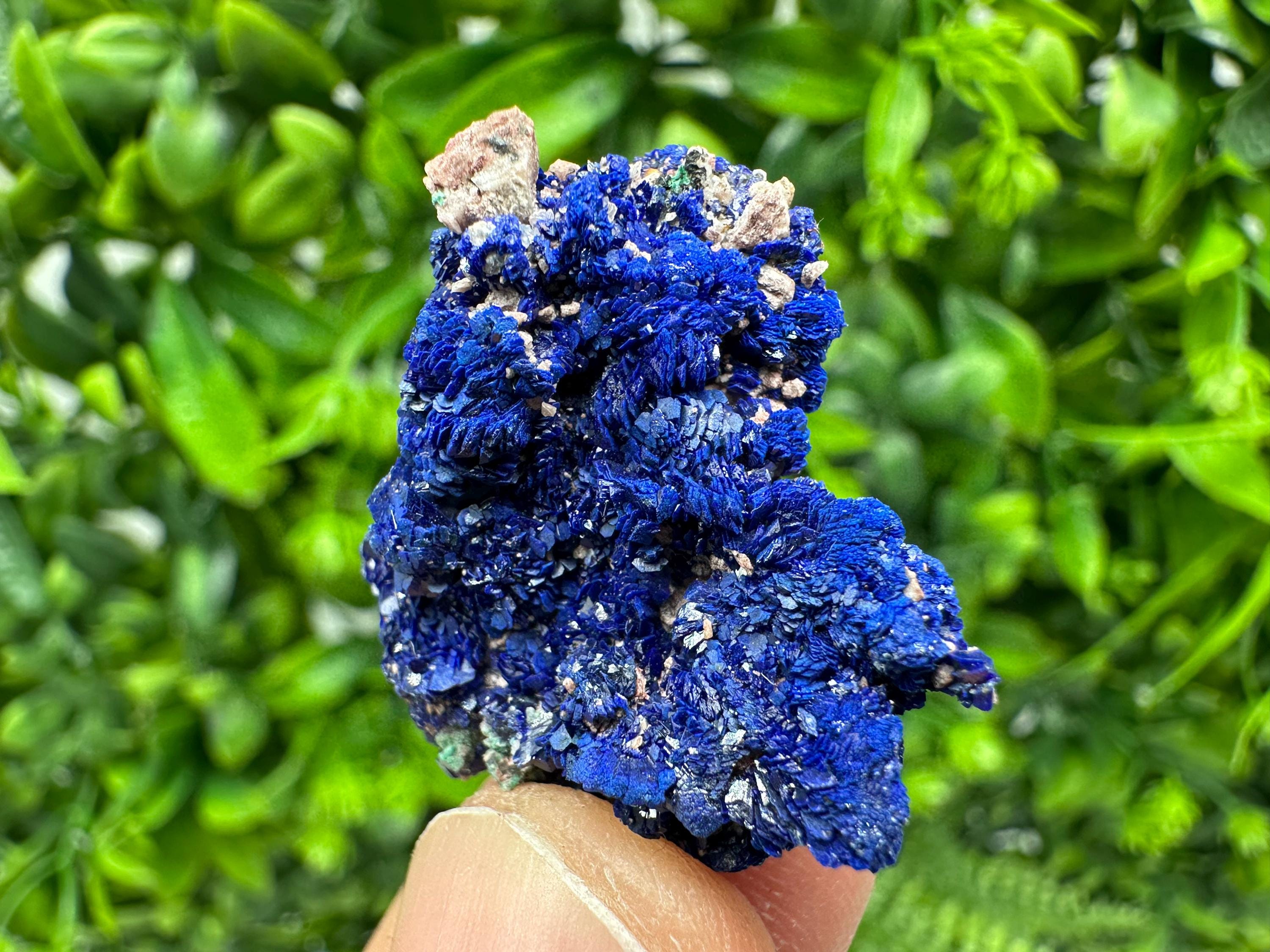 Crystallized Azurite-Kerrouchen,Morocco-Blue Azurite Specimen-High Quality Blue Azurite-Azurite Mineral Specimen, gemmy,lustrous of Azurite