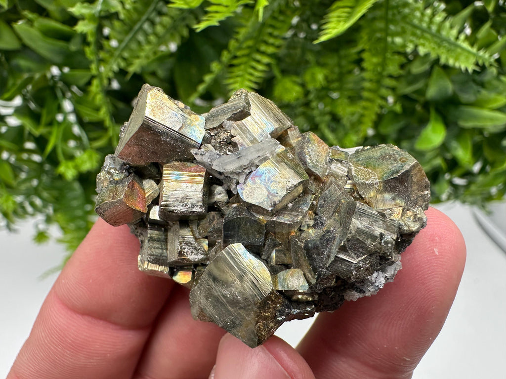 Rare Rainbow Pyrite Cluster: Borieva Mine, Bulgaria