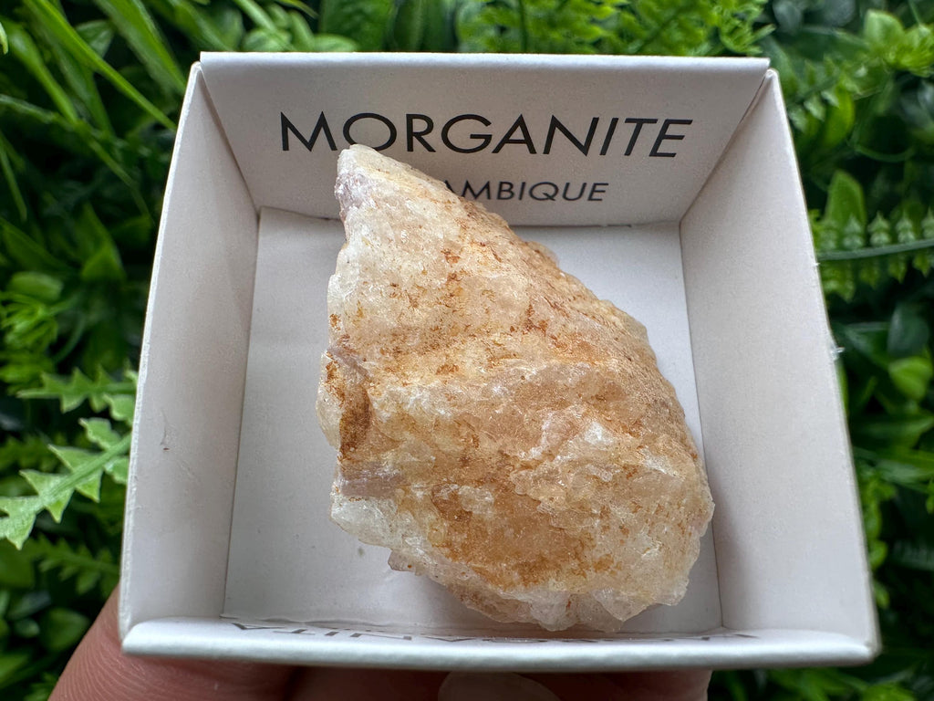 Rare Raw Morganite Specimen: Mozambique Crystal (3.5/3cm)