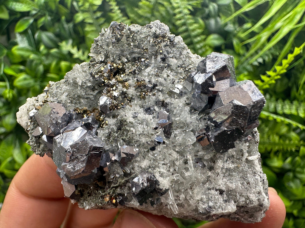 Galena Spinel Law Crystal on Quartz, Chlorite Mineral Specimen