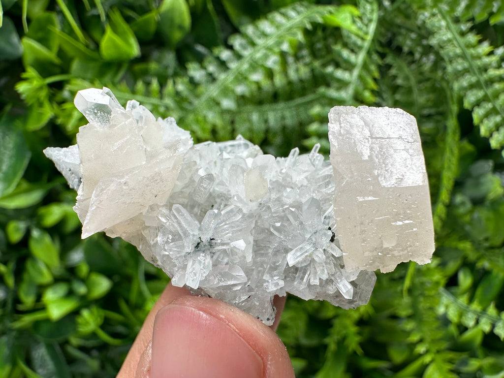 Calcite on Quartz Crystal: Borieva Mine, Bulgaria