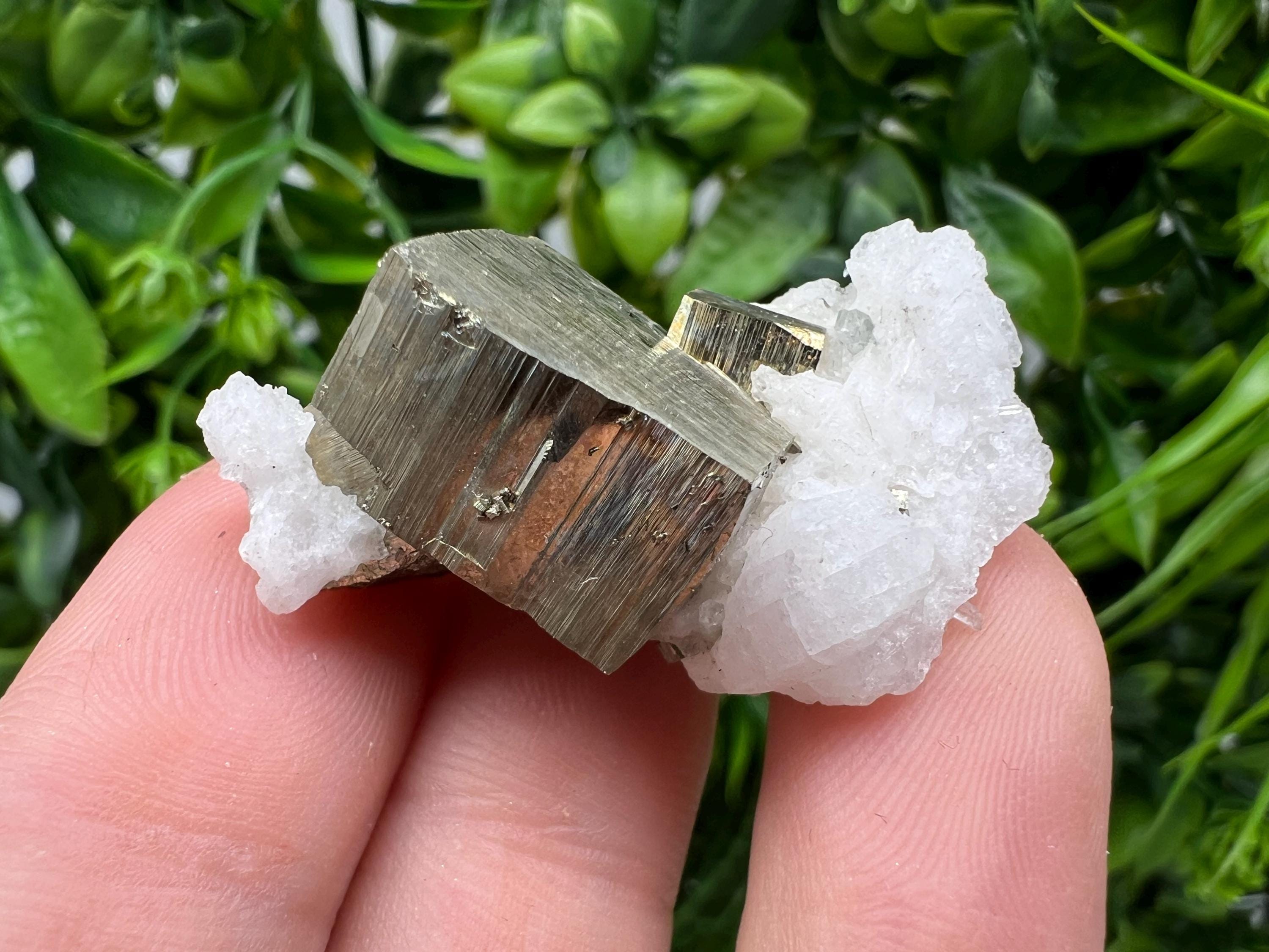 Rare crystallisation Pyrite,Borieva mine,Bulgaria,floating Pyrite,golden Pyrite,Pyrite cluster,mini Collection specimen,Rainbow Pyrite