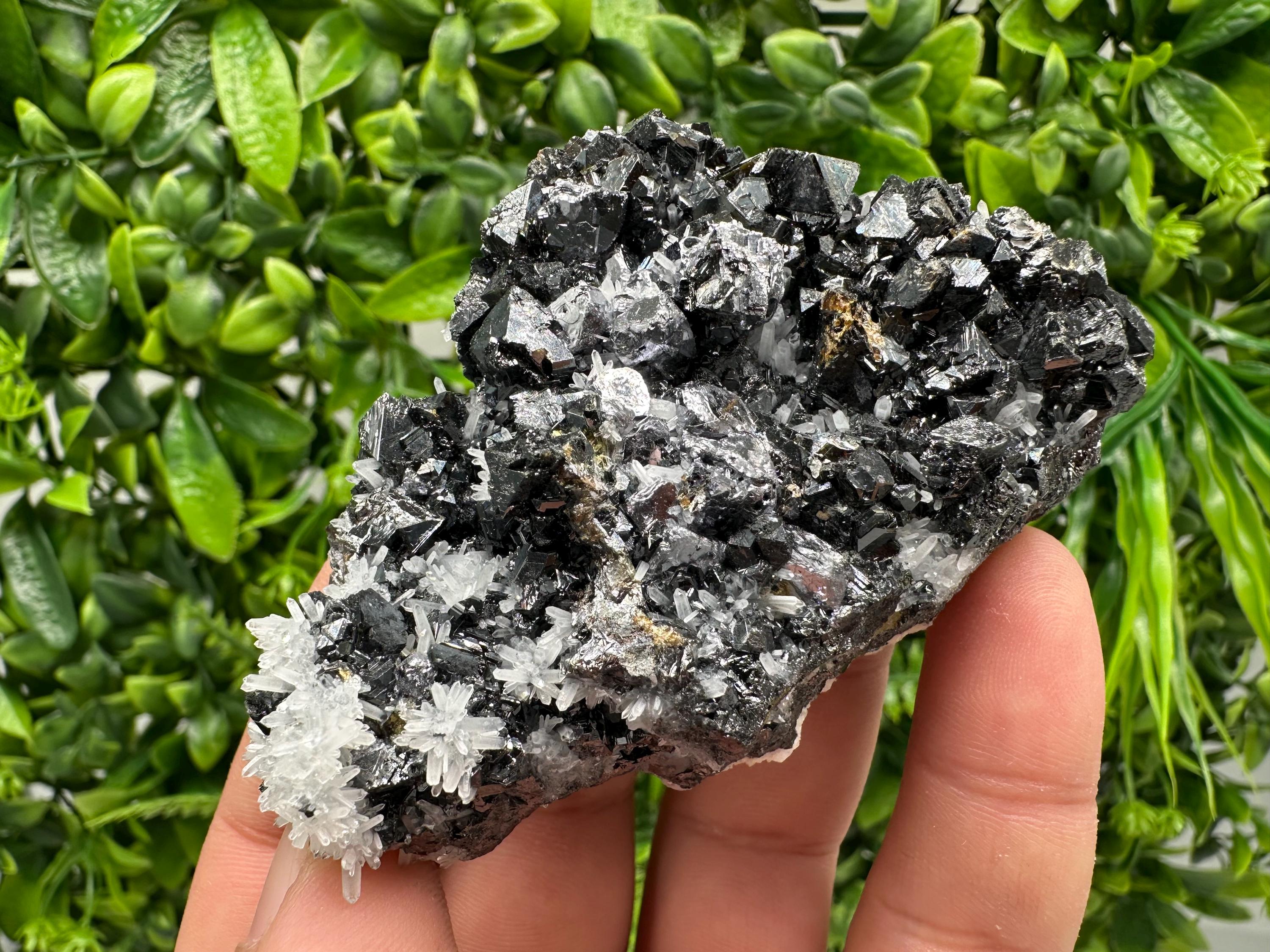 Wonderful Sphalerite on Quartz,From Borieva mine,Bulgaria,natural mineral,collection crystal,home decor stone,rare cluster,gift,souvenir
