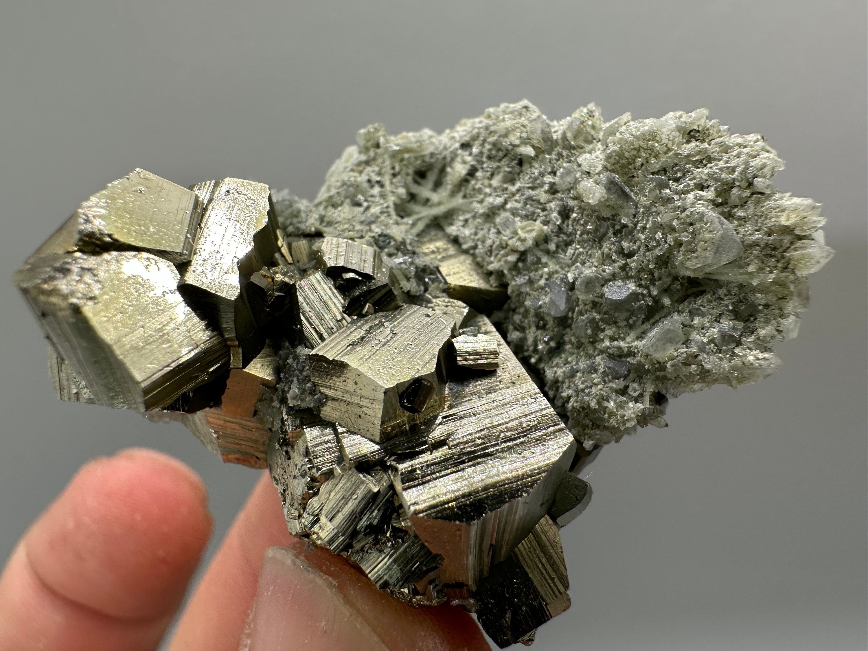 Golden Pyrite on Quartz with Chlorite - Borieva Mine Bulgaria