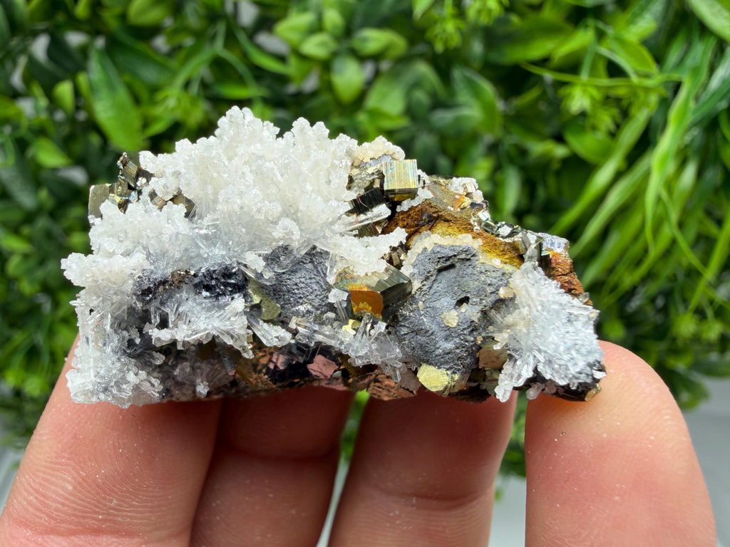 Pyrite Sphalerite Quartz  Mineral Specimen, Krushev dol Mine