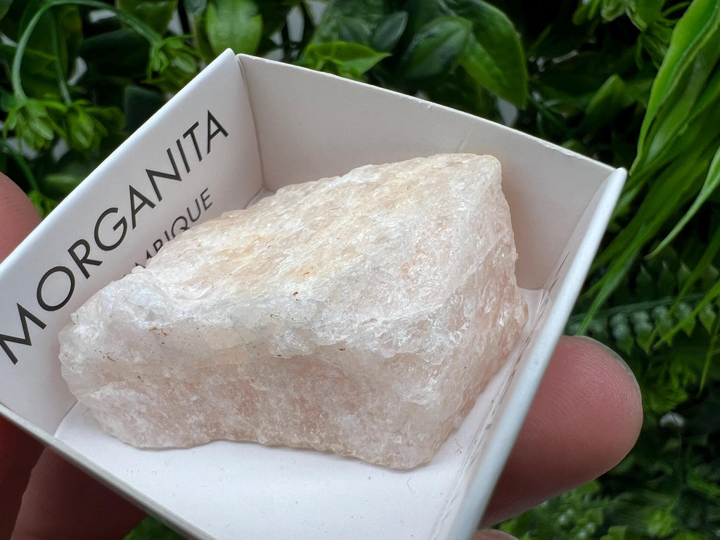 Rare Raw Morganite Mineral Specimen, Mozambique Crystal