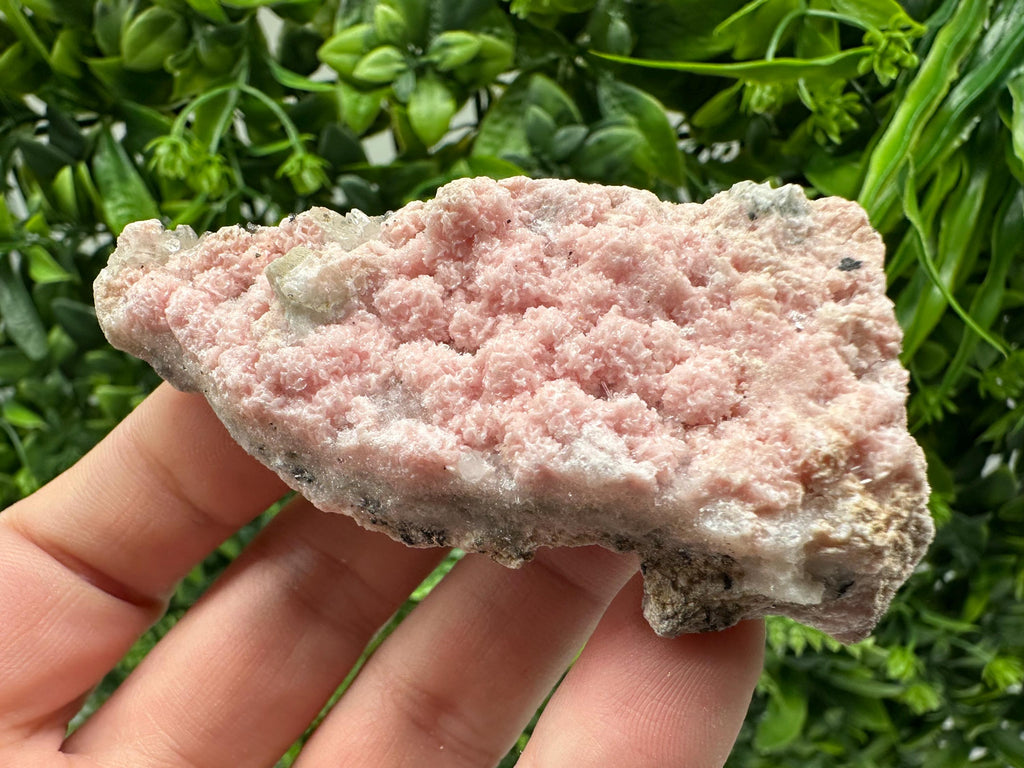 Pink Rhodochrosite Crystal: Starnica Mine, Bulgaria, Home Decor