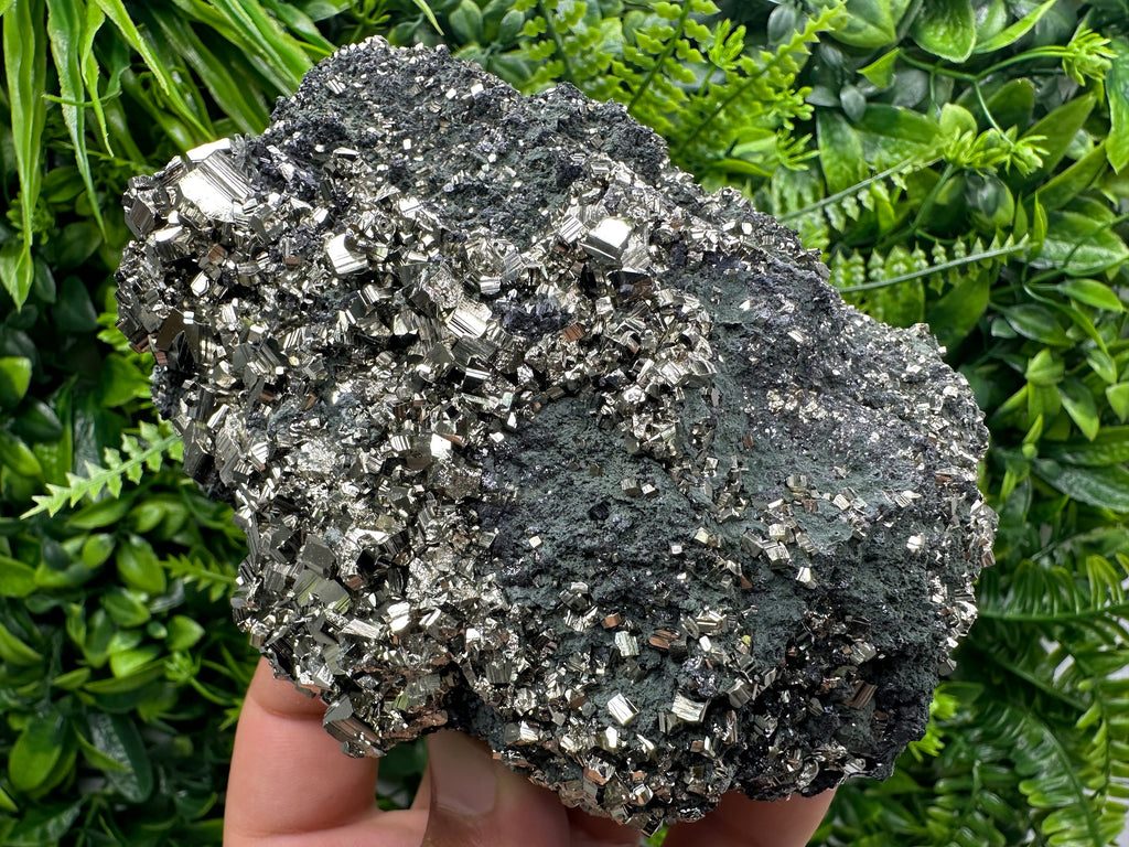 Golden Pyrite on Sphalerite with Chlorite, Bulgaria Mineral Specimen
