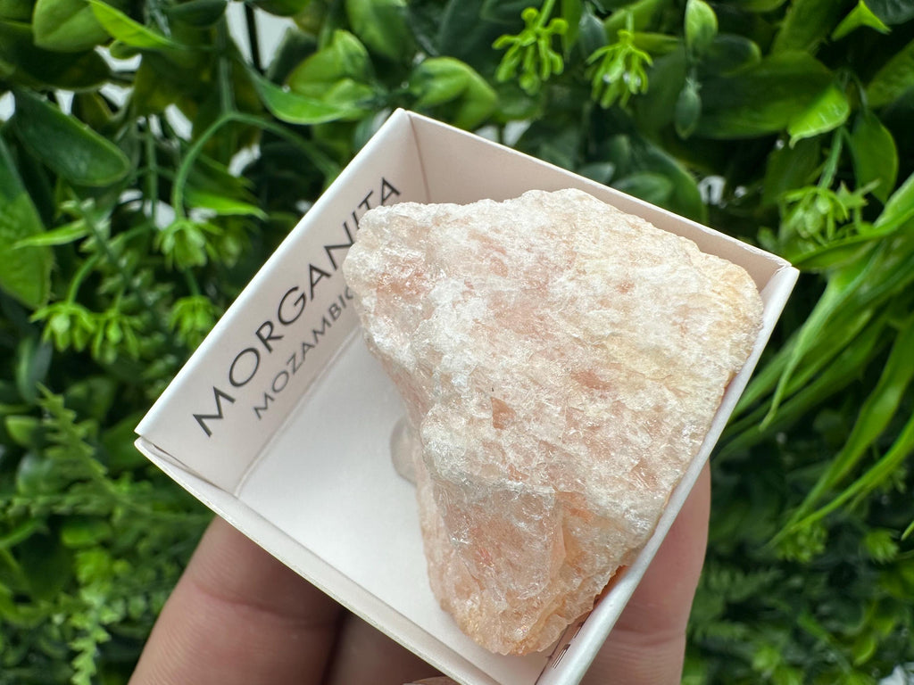 Rare Raw Morganite Mineral Specimen: Mozambique Crystal (4/4 cm)