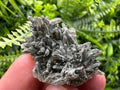Chlorite Quartz Cluster, Rare Mineral Specimen, Bulgaria