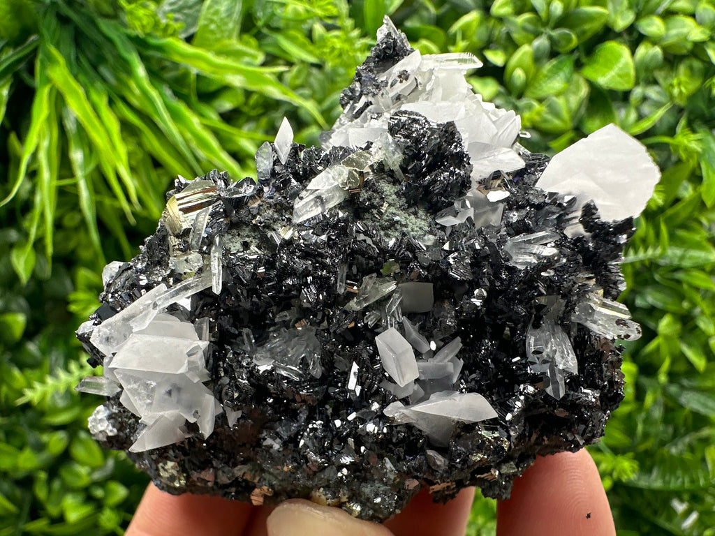 Pyrite Calcite on Sphalerite with Quartz, Borieva Mine Mineral Specimen