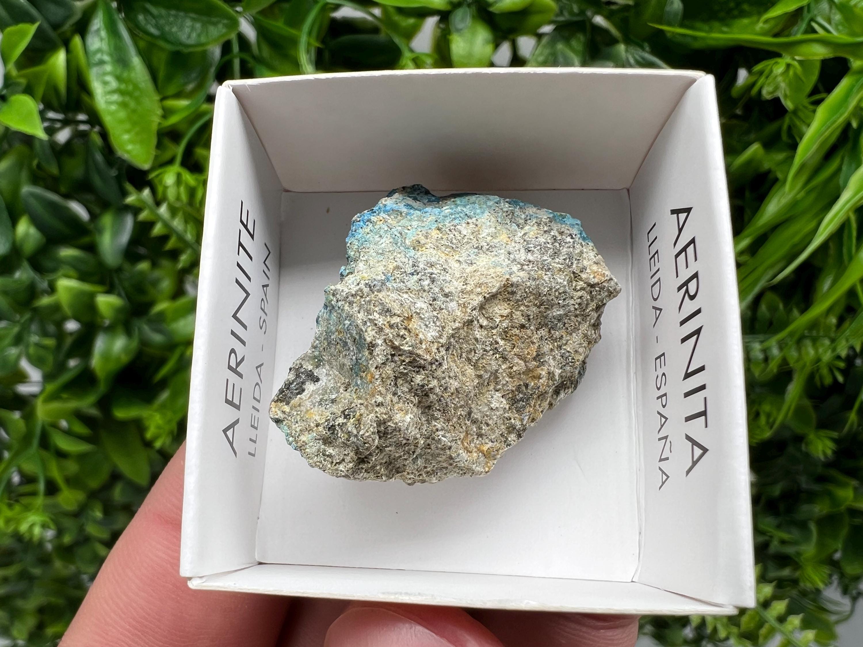 Rare Raw Aerinite Mineral Specimen: Lleida, Spain (3.5/3.5 CM)