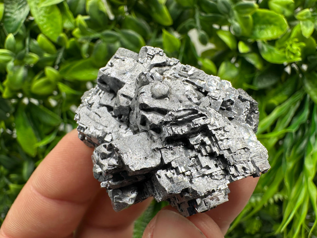 Skeletal Galena on Sphalerite: Natural Mineral Crystal Decor