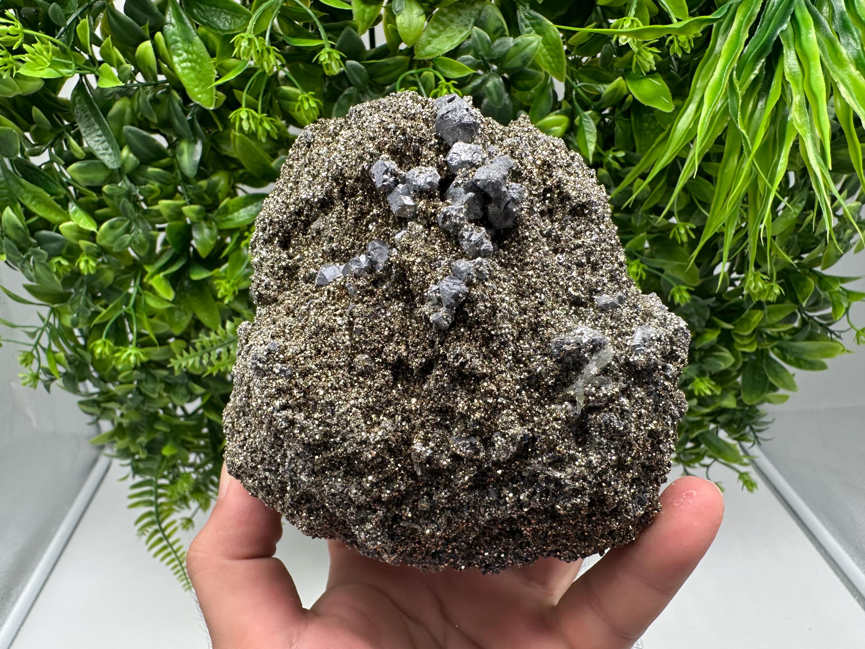 Mirror Galena Pyrite Specimen, Borieva Mine, Bulgaria