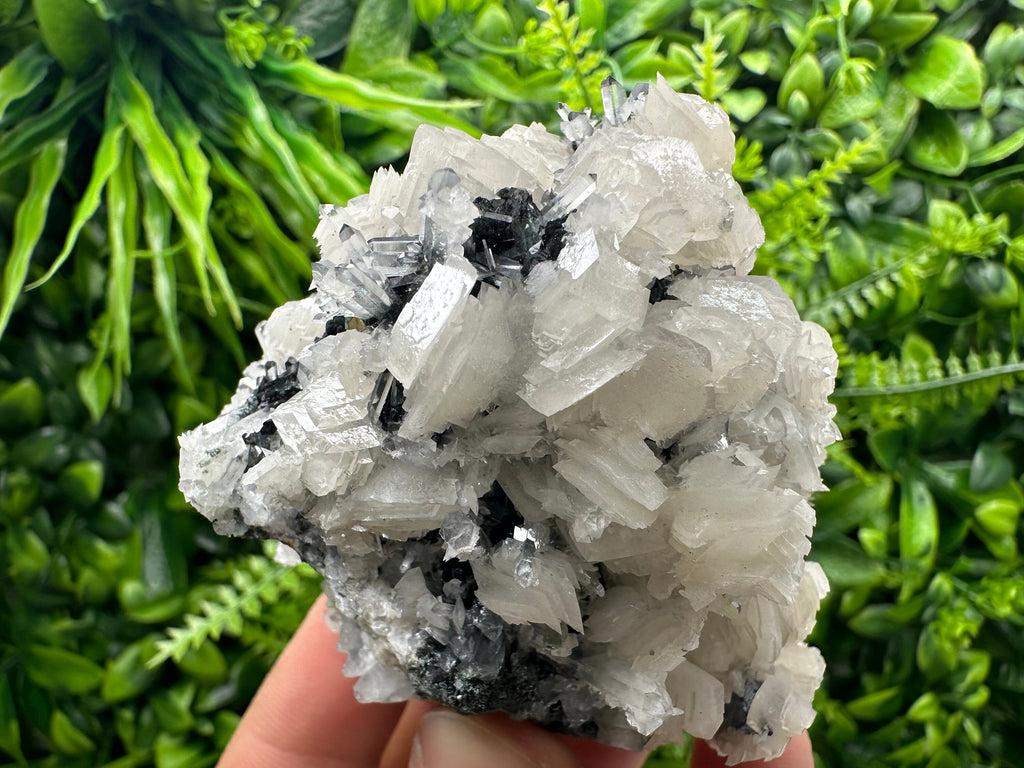 UV Fluorescence Calcite on Sphalerite, Quartz, Borieva Mine Crystal