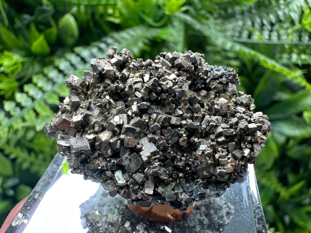 Rare Golden Pyrite Cluster: Borieva Mine, Bulgaria