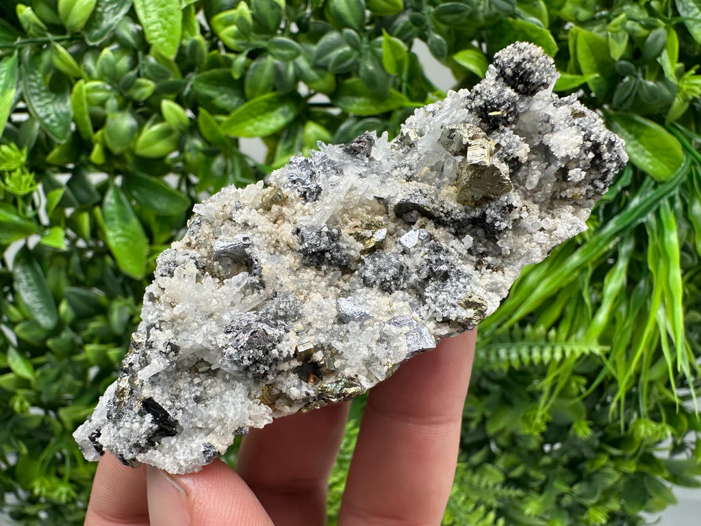 Chalcopyrite Galena on Quartz with Chlorite, Borieva Mine