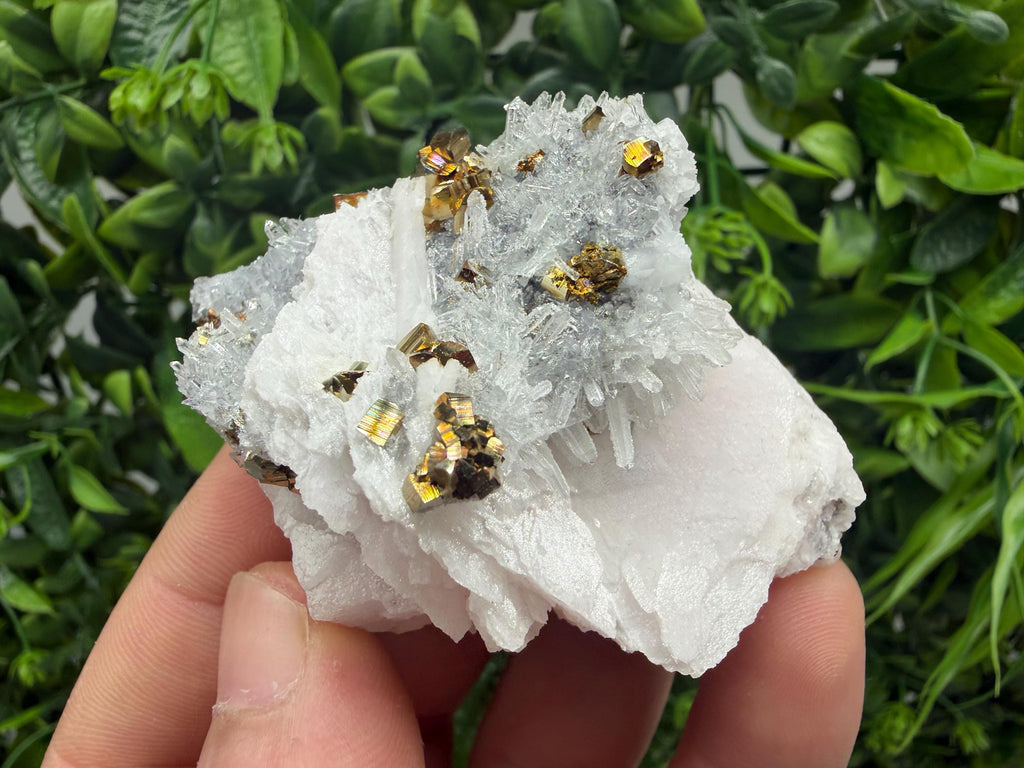 Mangano Calcite on Quartz with Pyrite, Madan Bulgaria Mineral Specimen