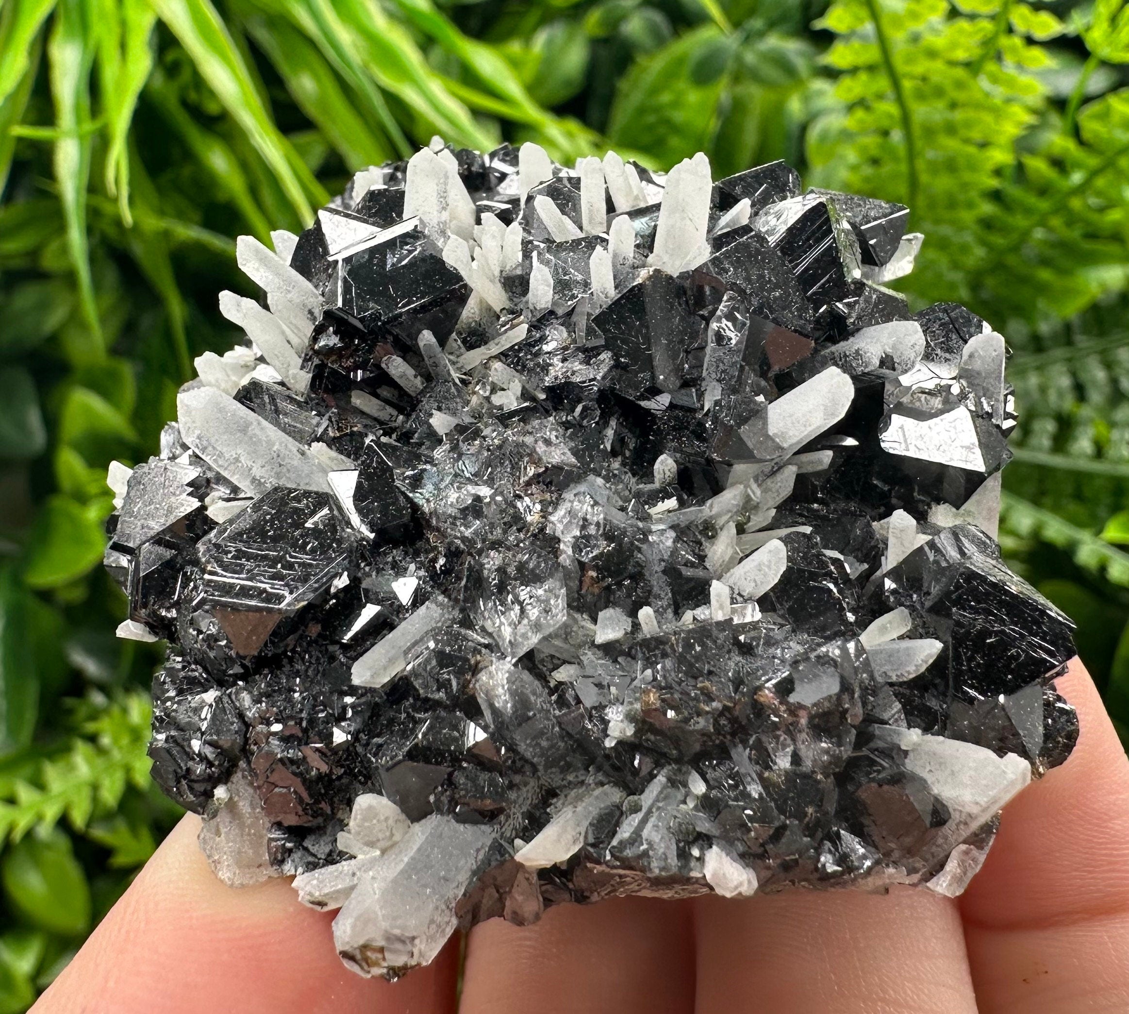 Borieva Mine Sphalerite on Quartz: Rare Mineral Cluster