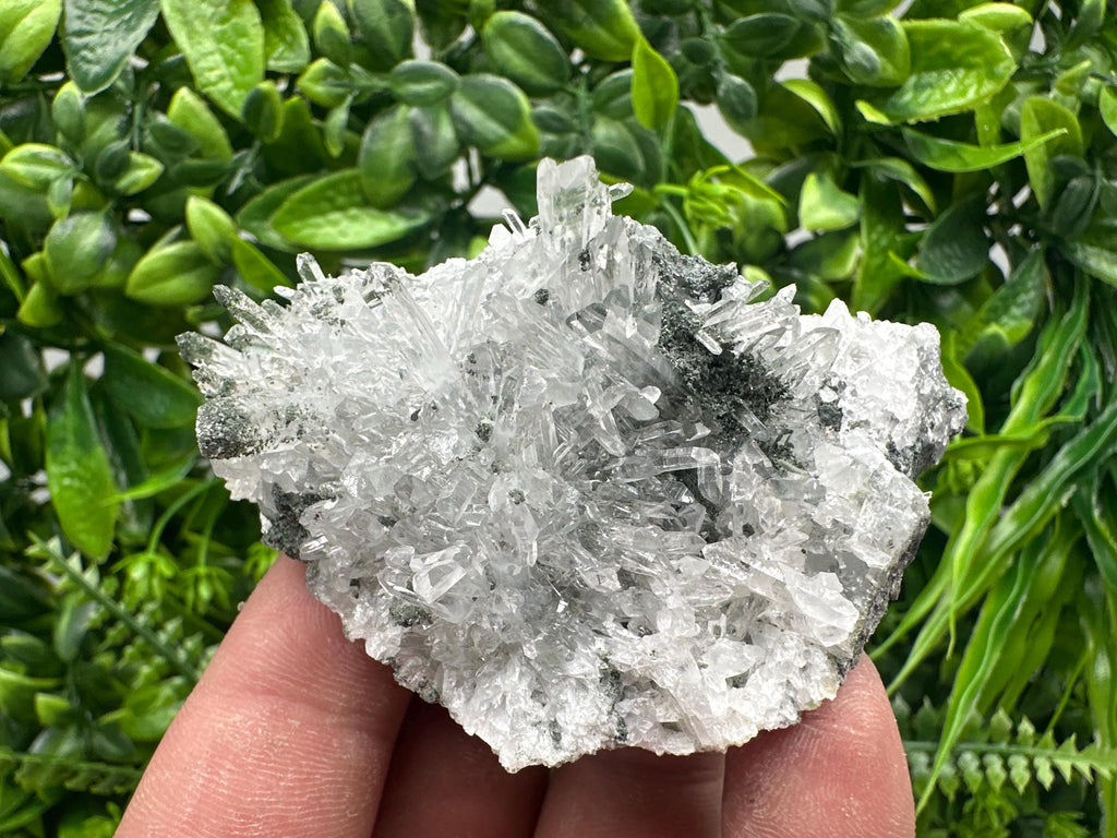 Transparent Quartz on Chlorite Matrix - Borieva Mine, Bulgaria